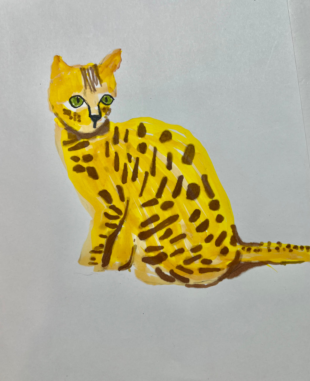 BENGAL CAT