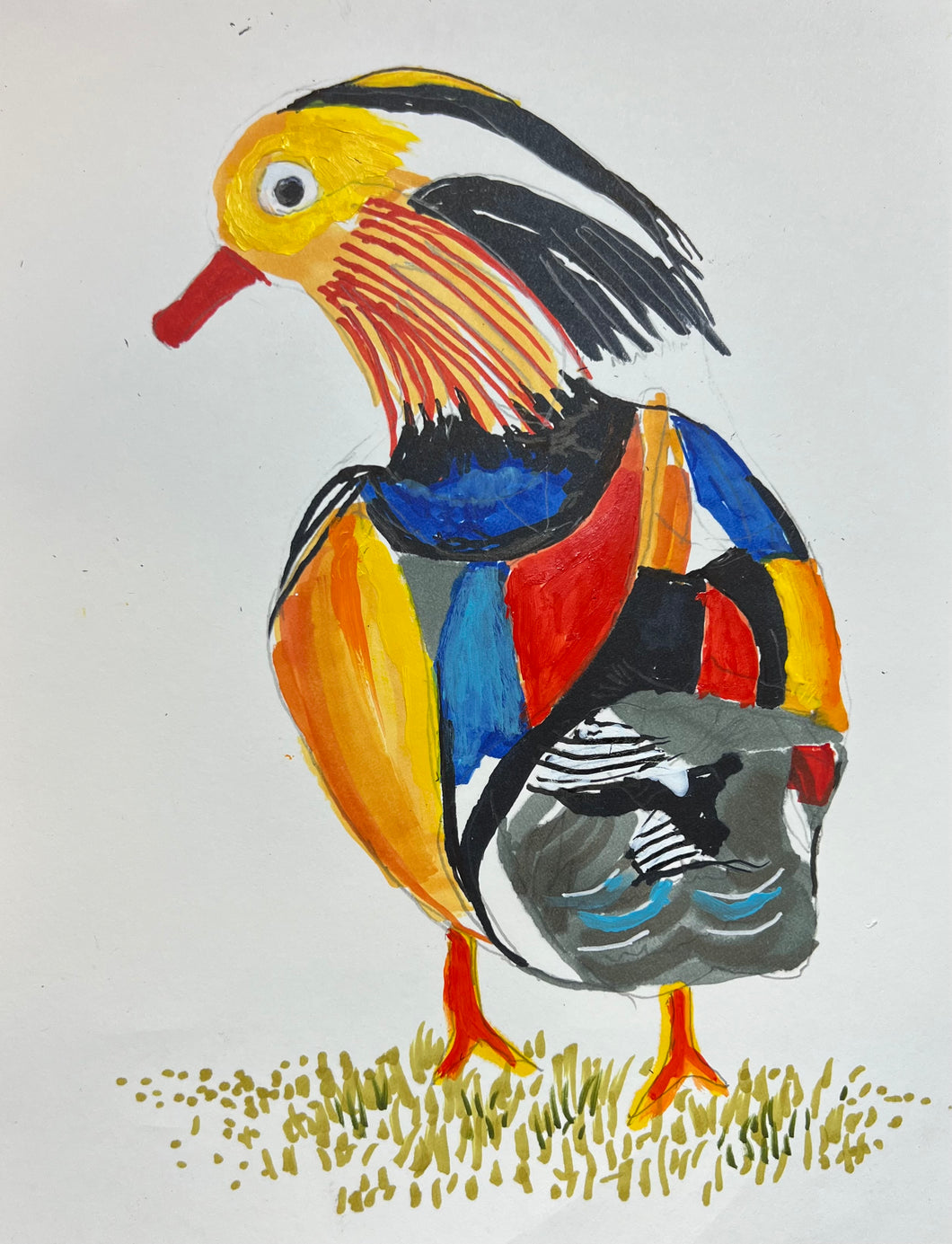 MANDARIN DUCK